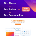 Divi Theme WordPress page builder
